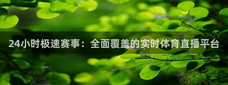 24小时极速赛事：全面覆盖的实时体育直播平台